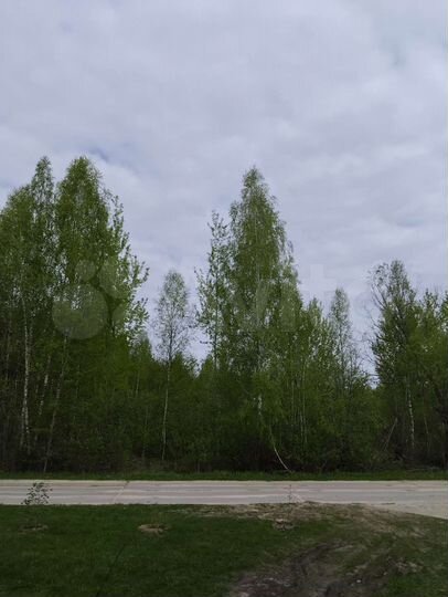 3-к. квартира, 78 м², 1/3 эт.