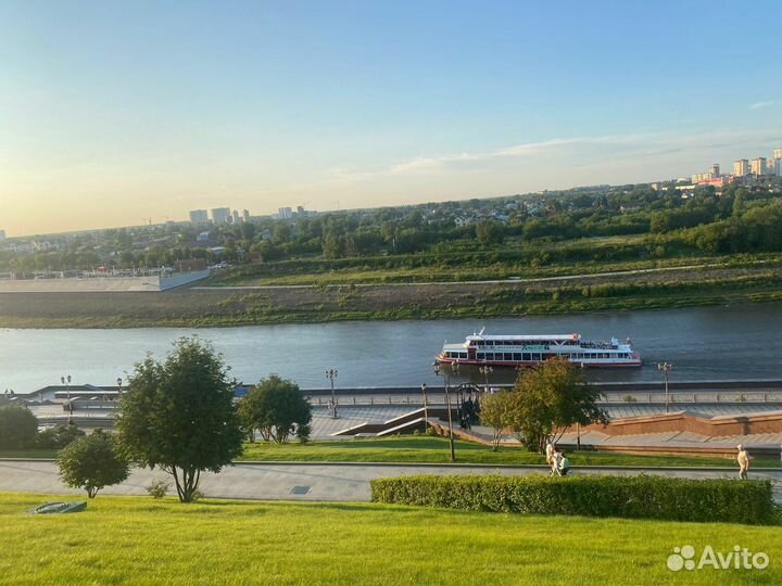 Посев газона