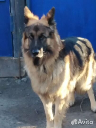 Вязка кабель