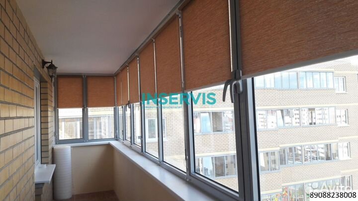 Зебра день ночь