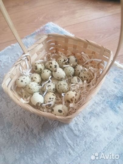 Яйцо домашнее