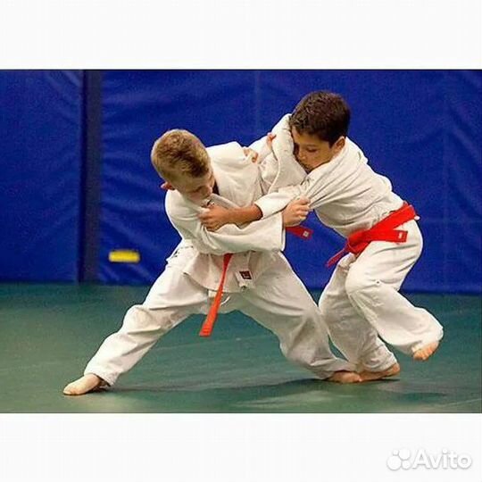 Дзюдо от4 до 8 лет