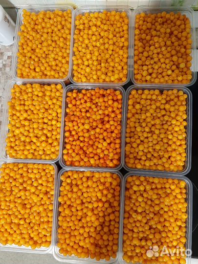 Облепиха свежая