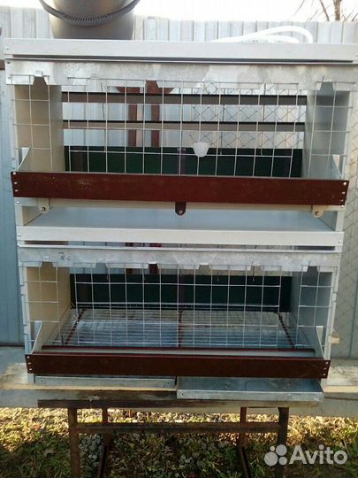 Клетки и брудера для домашней птицы
