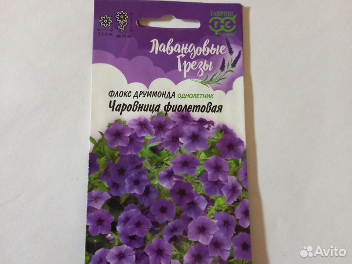 Семена флокс