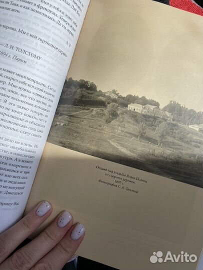 Переписка отца и сына Толстых