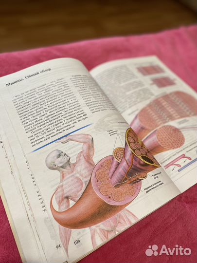 Учебник биология человека