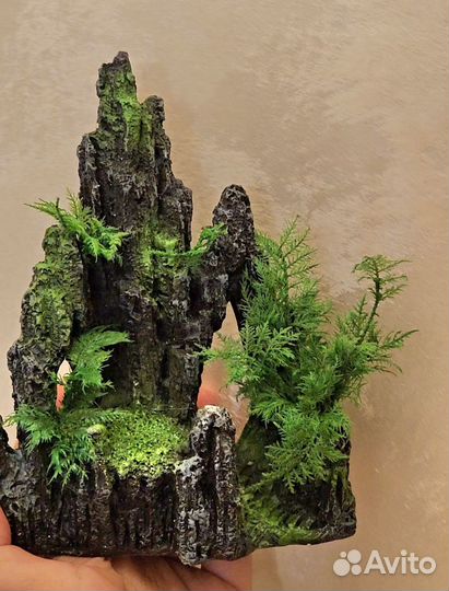 Озеленение террариумов, аквариумов и т.п