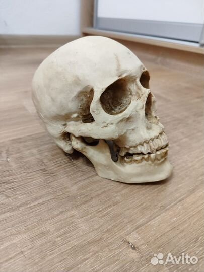 Коллекционные фигурки