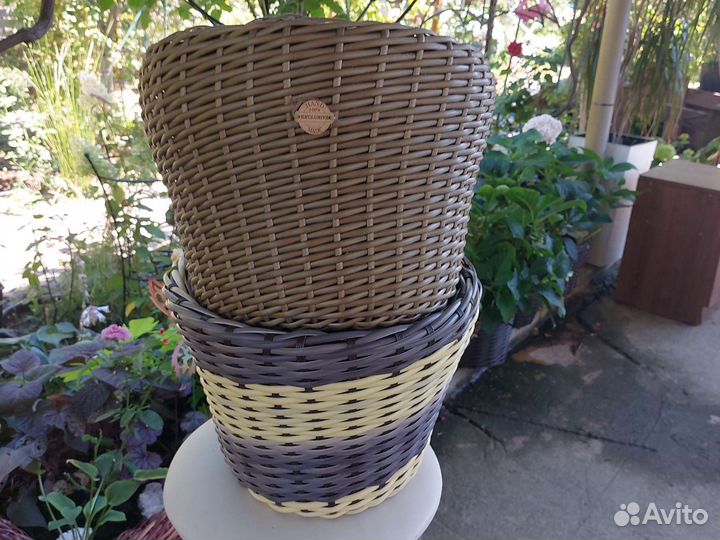 Кашпо, горшки, растения