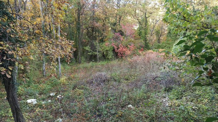 Дом 15 м² на участке 4 сот.