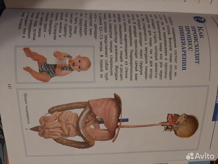 Детские книги энциклопедии