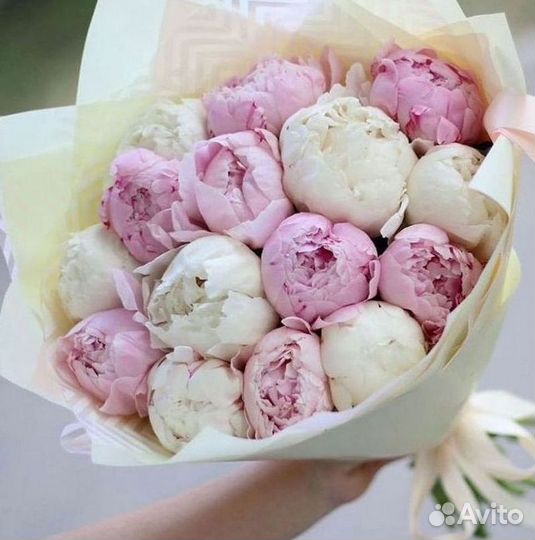 Пионы Розы Доставка