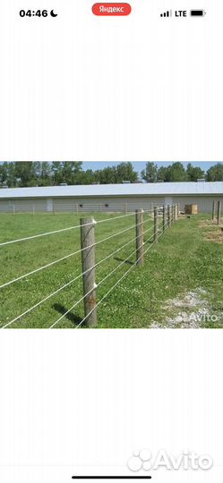 Электропастух