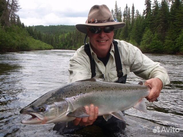 Самые достойные трофеи - Страница 46 - Методы - Форум настоящих рыбаков :: Макси