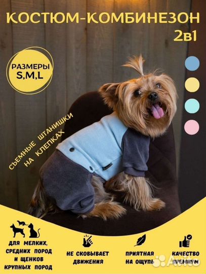 Одежда для собак