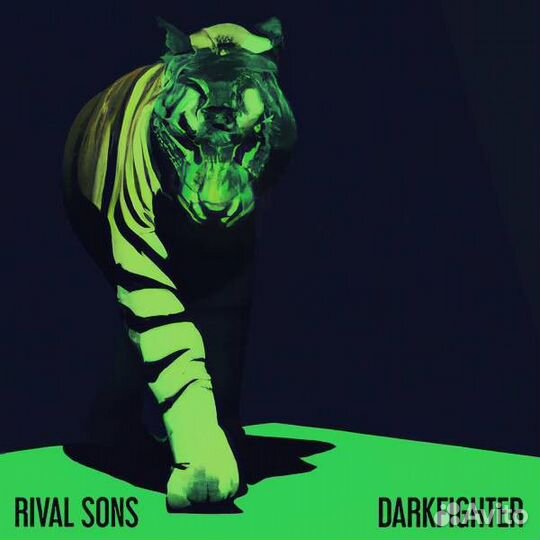 Виниловая пластинка Rival Sons - Darkfighter (Clea