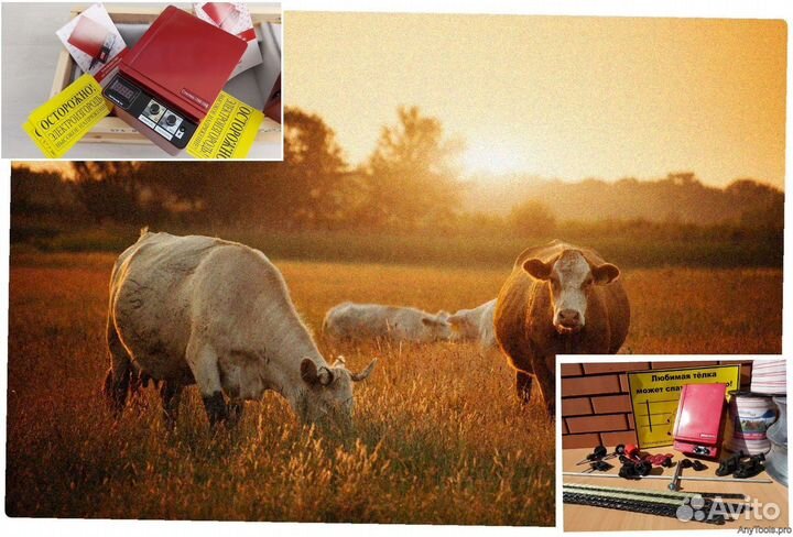 Электропастух