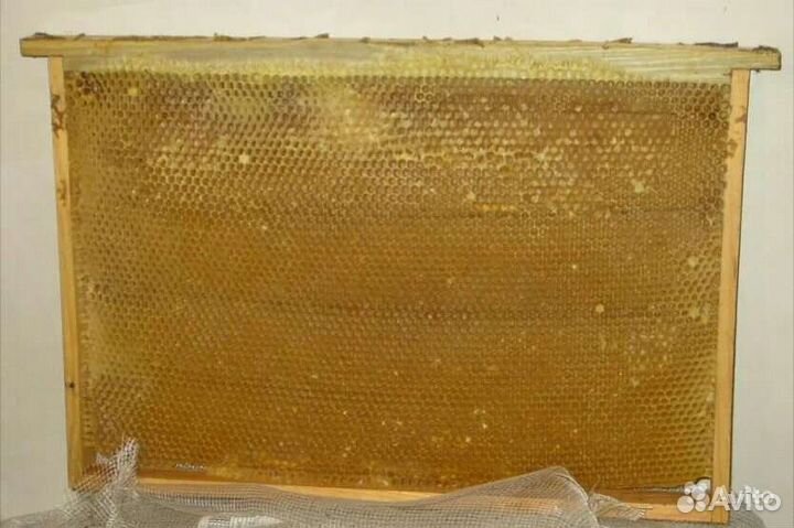 Рамки для ульев. Корпуса дадан