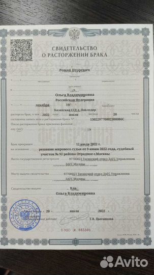 Юрист (Развод, Раздел имущества, Алименты)