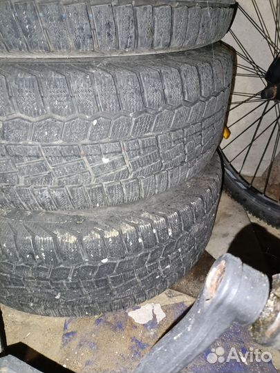 Tigar Winter 1 215/55 R16