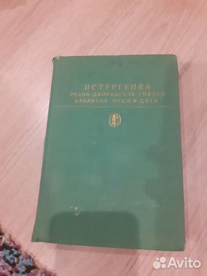 Тургенев отцы и дети