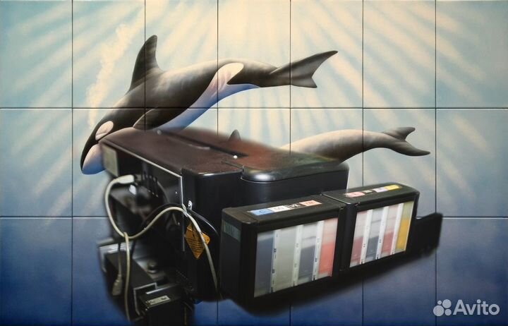 Принтер: Epson Stylus Photo R2000 головка (DX-5)