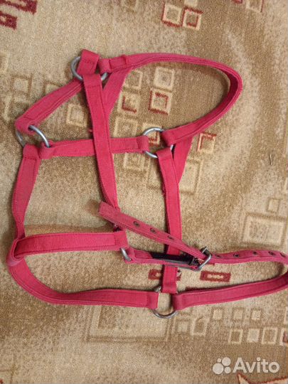 Для конного спорта