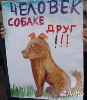 Зоогостиница для собак