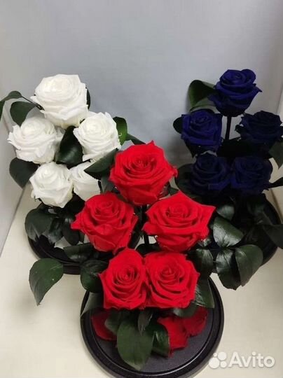 Подарок / Цветы