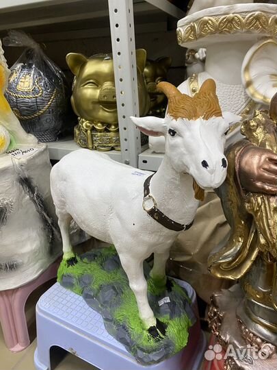 Козел на травке