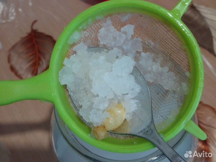 Индийский морской рис