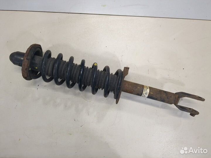 Амортизатор подвески Honda Crosstour, 2010