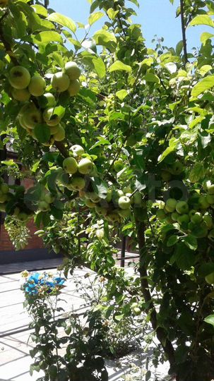 Дом 300 м² на участке 14,8 сот.