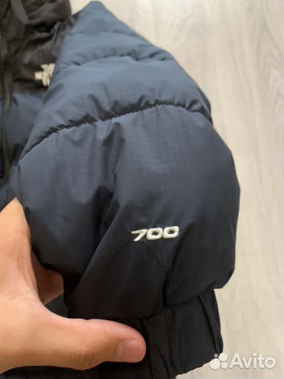 Осення куртка tnf
