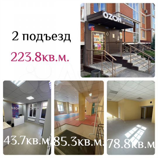 Свободного назначения, 43.7 м²