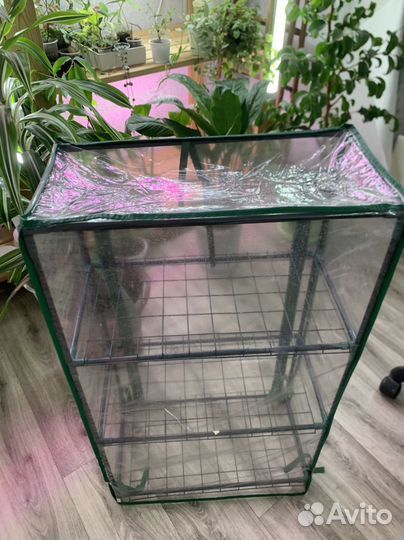 Тепличка для растений