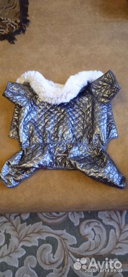 Комбенизон для собаки