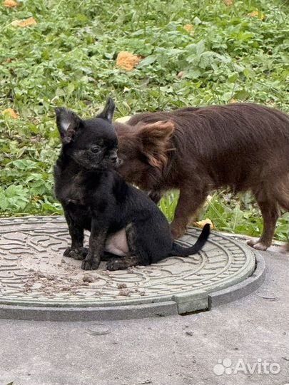 Мальчик кш для резерва