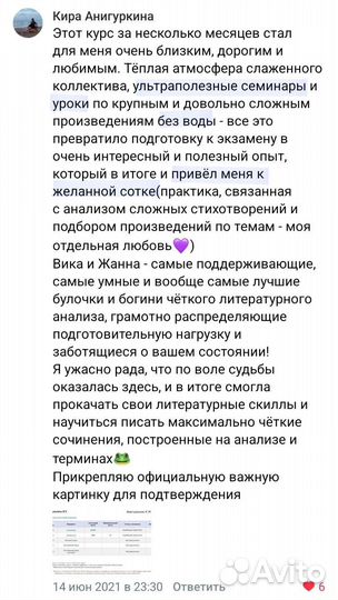 Репетитор по литературе (подготовка к огэ, егэ)