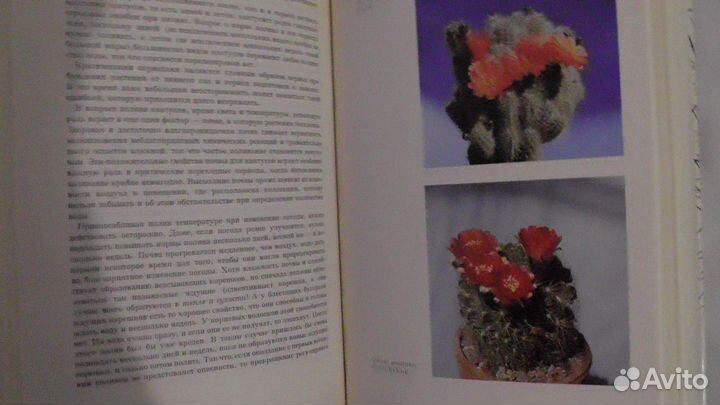 А. Урбан Колючее чудо. 1976