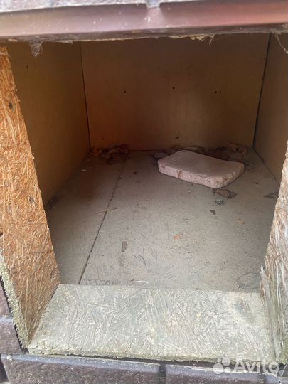 Собачья будка