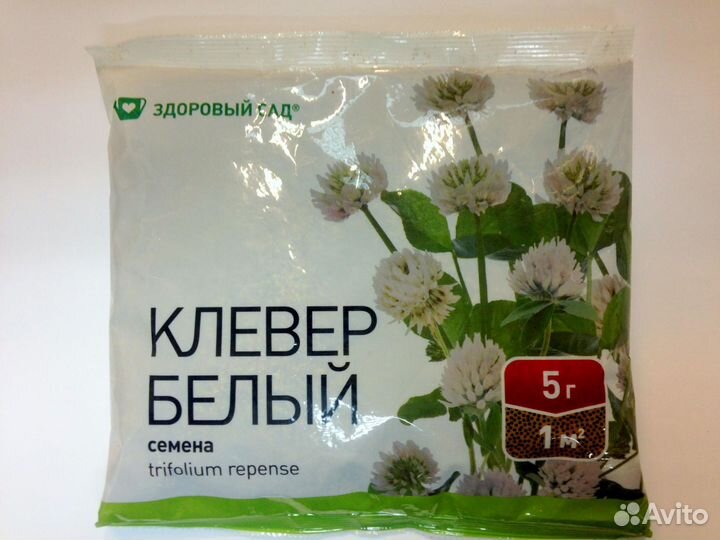 Клевер белый. Газон