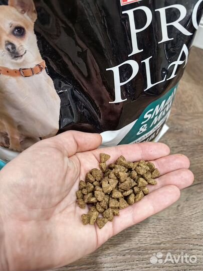 Pro Plan Small & Mini Sensitive Digestion, 7 кг