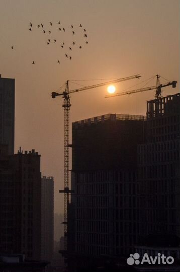 Строительные ооо