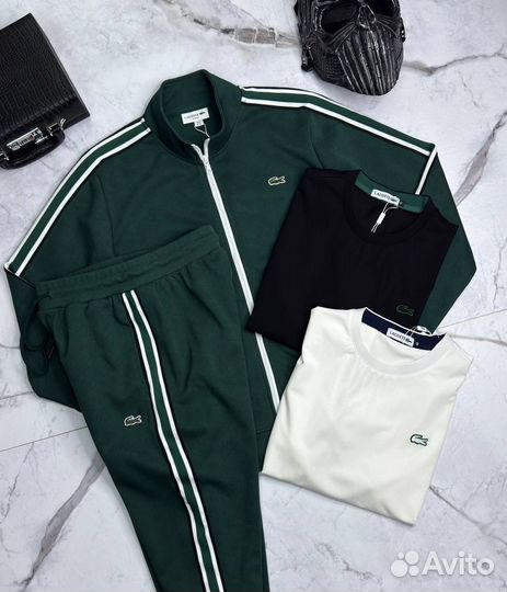 Спортивный мужской костюм Lacoste