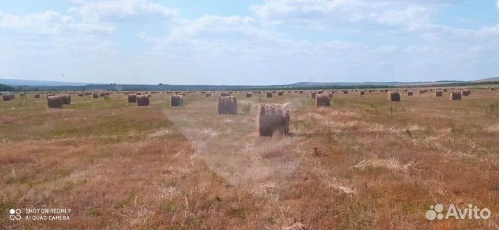 Сено в тюках и рулонах