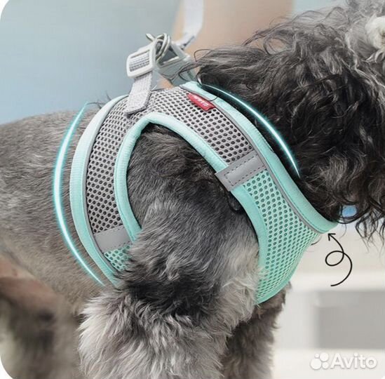 Шлейка для собак. Новая