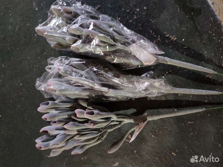 Искусственные цветы для декора