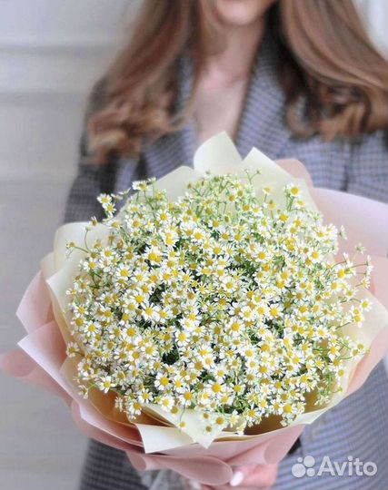 Ромашки букет